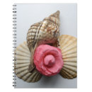 Suche nach schnecke kleine notizbücher Pflanze