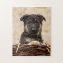 Suche nach welpe puzzle Baby