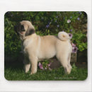 Suche nach profil mousepads Hund