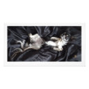 Suche nach schwarze chihuahua poster Niedlich