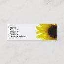 Suche nach sonne mini visitenkarten Blume