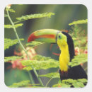 Suche nach tukanen aufkleber Vogel