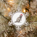 Suche nach waschbär ornamente Passend