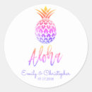 Suche nach hawaiian aufkleber Ananas