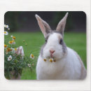 Suche nach farm der tiere mousepads Scheune