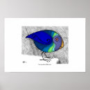 Suche nach blaue papageien poster Vogel