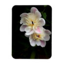 Suche nach bequemlichkeit magnete Beruhigend