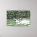Suche nach enten im flug poster Vogelvogel