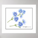 Suche nach wildblume fotodruck Natur