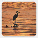 Suche nach heron aufkleber Natur