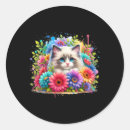 Suche nach ragdoll katzen aufkleber Lustig