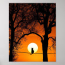 Suche nach silhouetten der schwarzen katze poster Sonnenuntergang