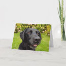 Suche nach lustiger labrador geburtstag karten Retriefe