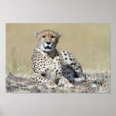 Suche nach kenya poster Animal