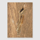 Suche nach baumstämme magnete Tier