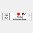 Suche nach amerikanisches staffordshire terrier autoaufkleber Hund