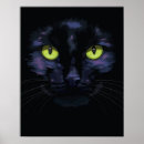 Suche nach grüne mit augen katze poster Fell