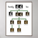 Suche nach stammbaum poster Genealogie