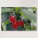 Suche nach beeren puzzle Blatt