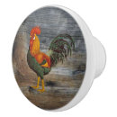 Suche nach leghorn Hahn