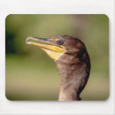 Suche nach kormoran mousepads Natur