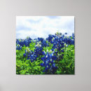 Suche nach lupinen poster leinwandbilder Natur