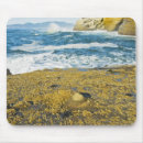 Suche nach pazifisch mousepads Natur