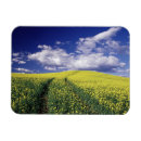 Suche nach washington county Landwirtschaft