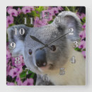 Suche nach australian animal poster Bear