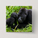Suche nach gorilla buttons Tierwelt