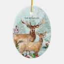 Suche nach hirsche ornamente Winterwald