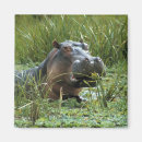 Suche nach kenia magnete Natur