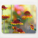 Suche nach biene mousepads Insekten