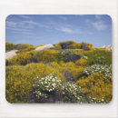 Suche nach sardinien mousepads Westeuropa