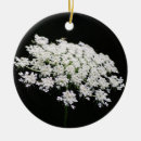 Suche nach anne ornamente Blume