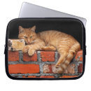 Suche nach coole katze laptop schutzhüllen Haustier