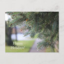 Suche nach evergreens postkarten Feiertage