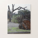 Suche nach toter baum Natur