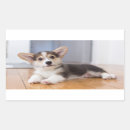 Suche nach fokus auf vordergrund aufkleber Babytiere