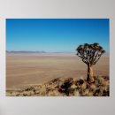 Suche nach namibia poster Afrika