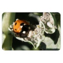 Suche nach spots magnete Niedlich