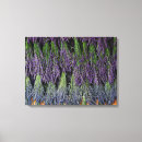 Suche nach kräuter leinwandbilder Blume