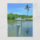 Suche nach doppelte postkarten Tropisch