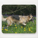 Suche nach schäferhund mousepads Blumen