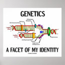 Suche nach genetik poster Biologie