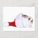 Suche nach die häschen karten Feiertag