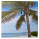 Suche nach aruba fliesen Wasser