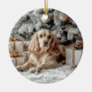 Suche nach cocker spaniel ornamente Urlaub
