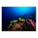 Suche nach tropisches segel postkarten Küste