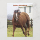 Suche nach galoppieren postkarten Kastanie